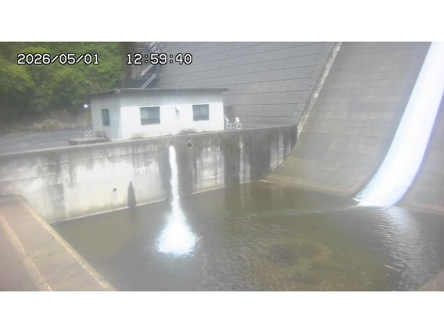 東郷ダム１（下流）2026/05/01 14:20:00