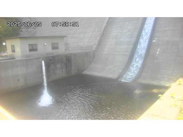 東郷ダム１（下流）2025/06/06 1:20:00