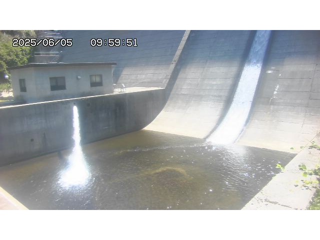 東郷ダム１（下流）2025/06/06 1:20:00