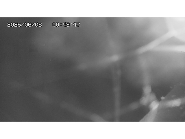 東郷ダム１（下流）2025/06/06 1:20:00