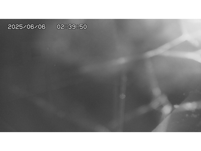 東郷ダム１（下流）2025/06/06 3:10:00