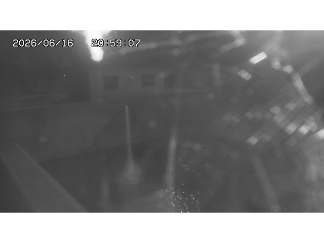 東郷ダム１（下流）2026/06/17 13:10:00
