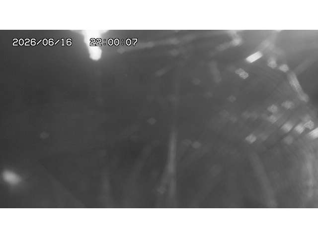 東郷ダム１（下流）2026/06/17 13:10:00