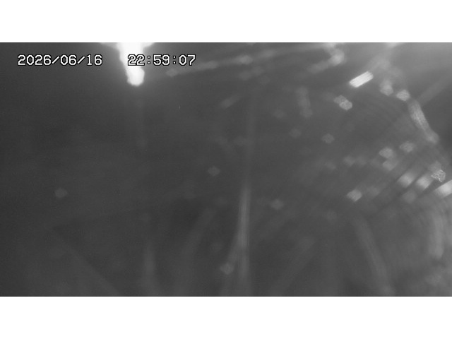 東郷ダム１（下流）2026/06/17 13:10:00