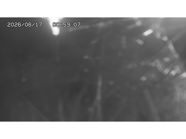 東郷ダム１（下流）2026/06/17 13:10:00