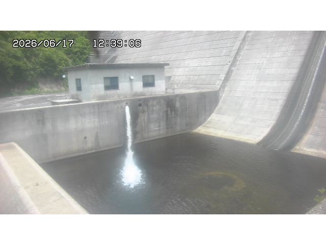 東郷ダム１（下流）2026/06/17 13:10:00