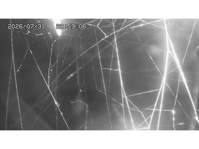 東郷ダム１（下流）2026/08/01 21:20:00