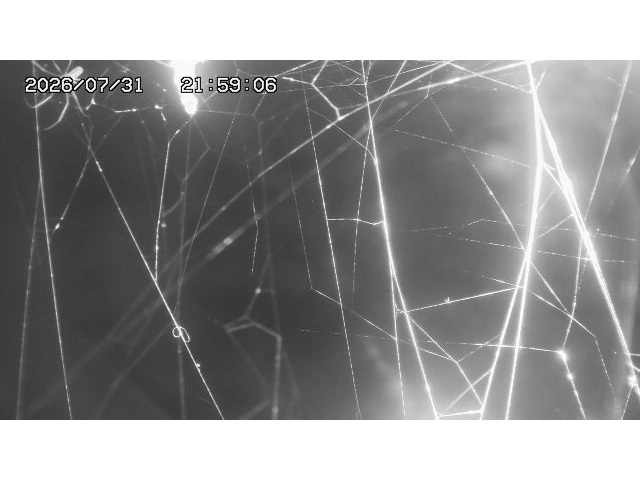 東郷ダム１（下流）2026/08/01 21:20:00