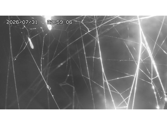 東郷ダム１（下流）2026/08/01 21:20:00