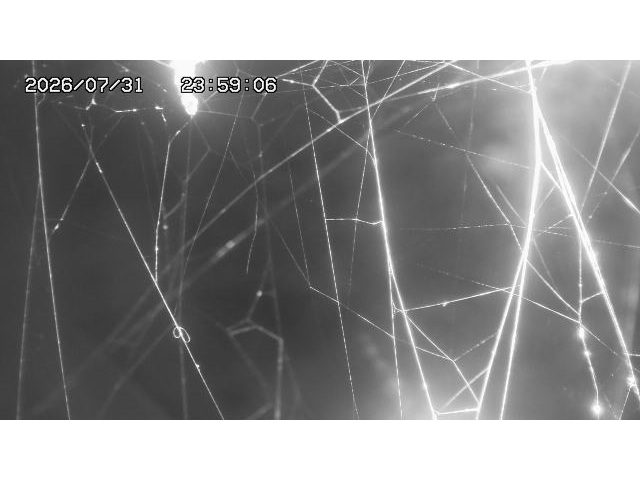 東郷ダム１（下流）2026/08/01 21:20:00