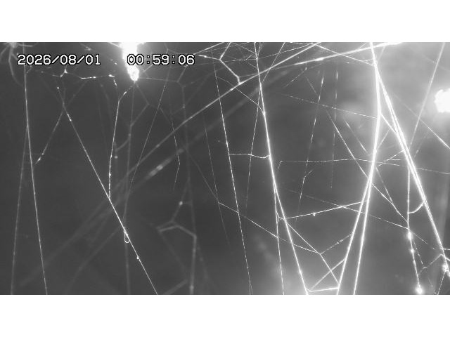 東郷ダム１（下流）2026/08/01 21:20:00