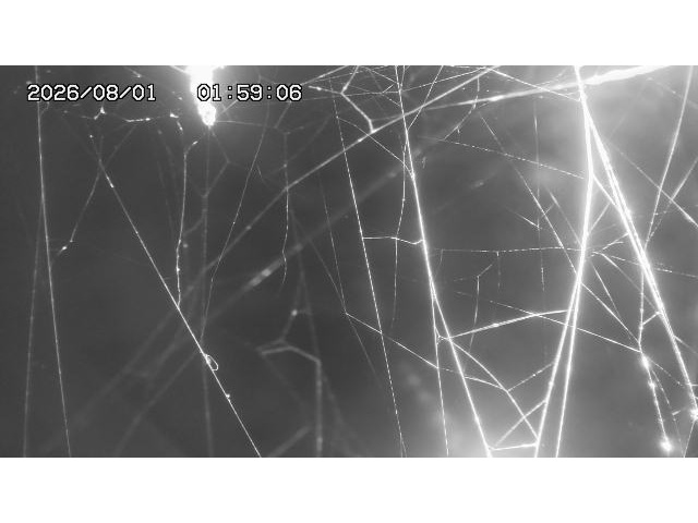 東郷ダム１（下流）2026/08/01 21:20:00