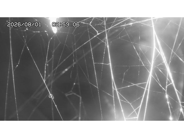 東郷ダム１（下流）2026/08/01 21:20:00