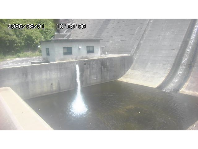 東郷ダム１（下流）2026/08/01 21:20:00