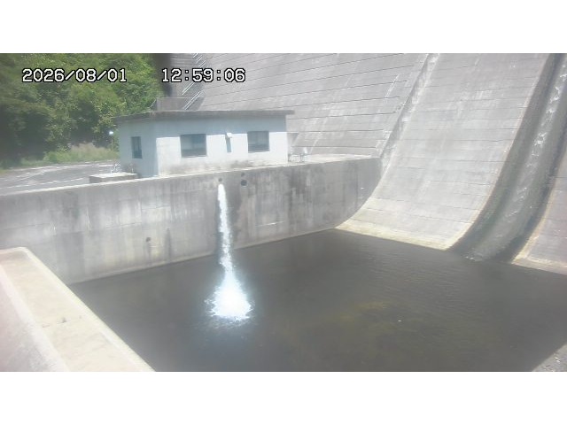 東郷ダム１（下流）2026/08/01 21:20:00