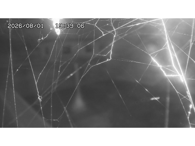 東郷ダム１（下流）2026/08/01 21:20:00