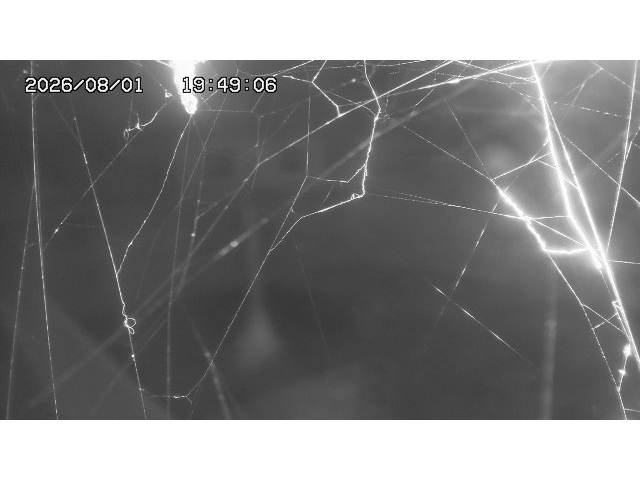 東郷ダム１（下流）2026/08/01 21:20:00
