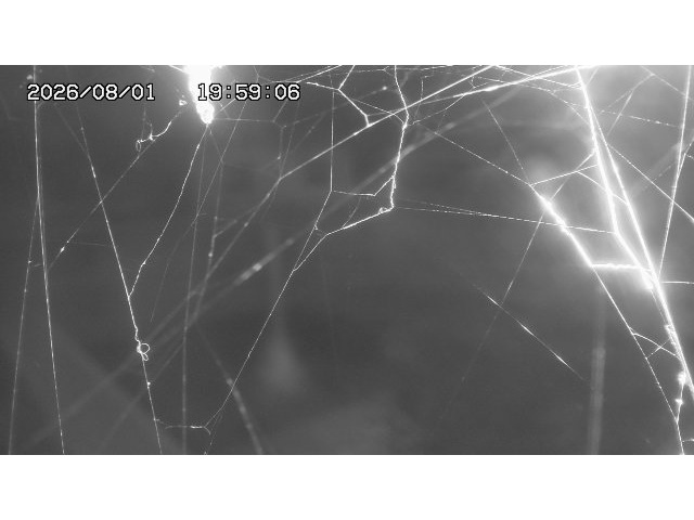 東郷ダム１（下流）2026/08/01 21:20:00