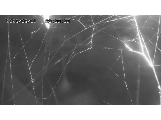 東郷ダム１（下流）2026/08/01 21:20:00