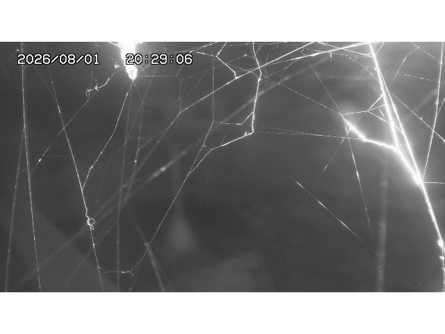 東郷ダム１（下流）2026/08/01 21:20:00