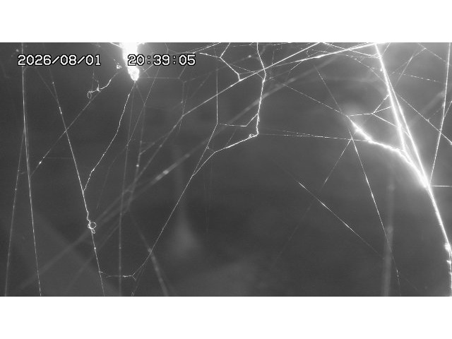 東郷ダム１（下流）2026/08/01 21:20:00