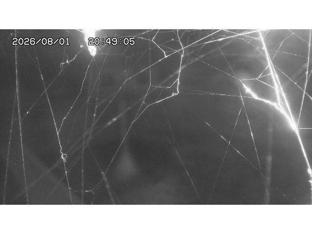 東郷ダム１（下流）2026/08/01 21:20:00