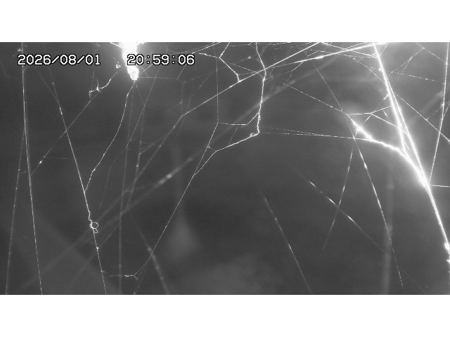 東郷ダム１（下流）2026/08/01 21:20:00
