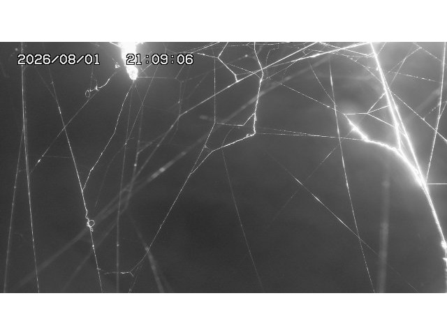 東郷ダム１（下流）2026/08/01 21:20:00