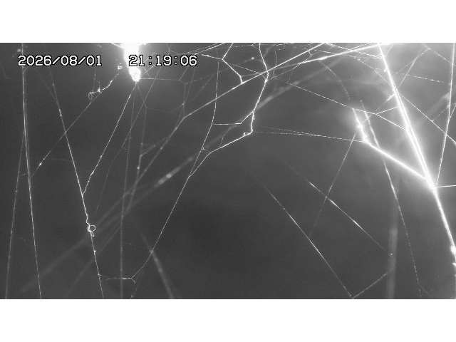 東郷ダム１（下流）2026/08/01 21:20:00