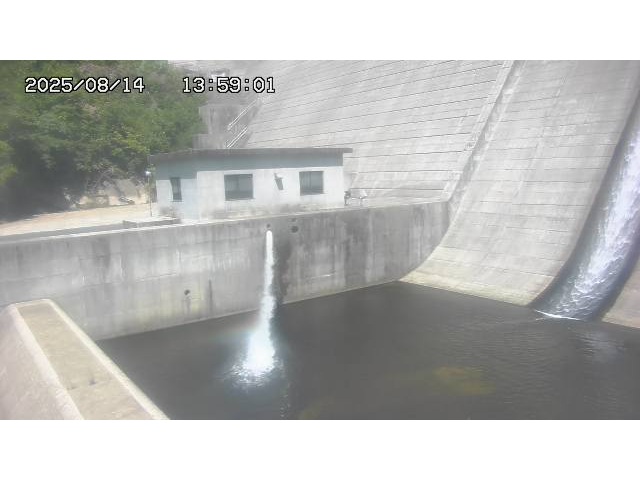 東郷ダム１（下流）2025/08/15 14:00:00