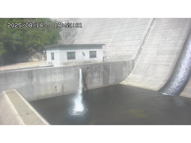 東郷ダム１（下流）2025/08/15 14:00:00