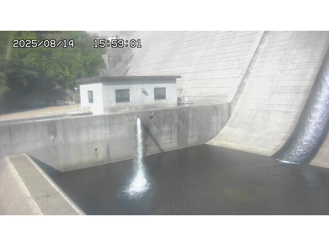 東郷ダム１（下流）2025/08/15 14:00:00