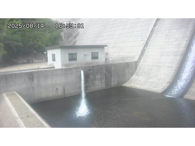 東郷ダム１（下流）2025/08/15 14:00:00