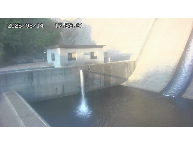 東郷ダム１（下流）2025/08/15 14:00:00
