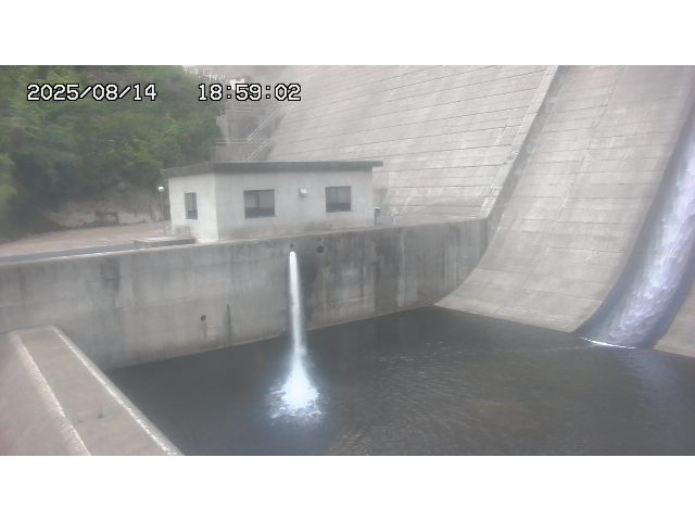 東郷ダム１（下流）2025/08/15 14:00:00