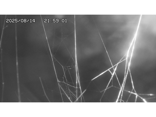 東郷ダム１（下流）2025/08/15 14:00:00