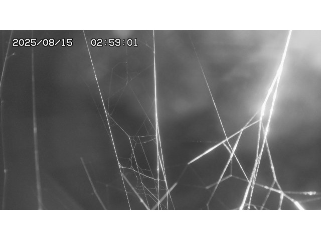 東郷ダム１（下流）2025/08/15 14:00:00