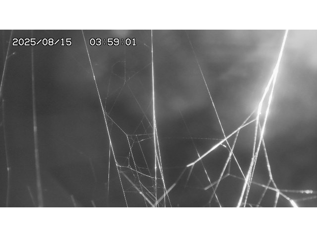 東郷ダム１（下流）2025/08/15 14:00:00