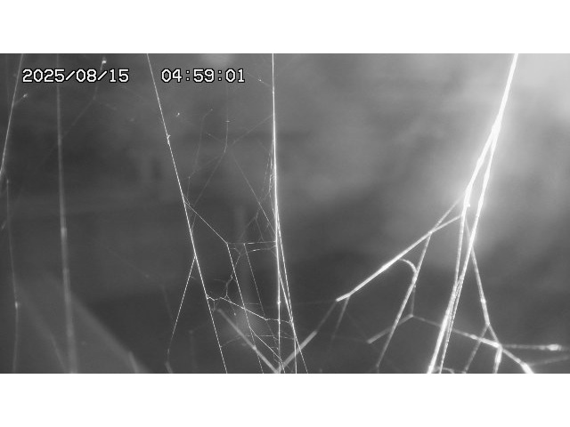 東郷ダム１（下流）2025/08/15 14:00:00