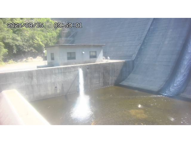東郷ダム１（下流）2025/08/15 14:00:00