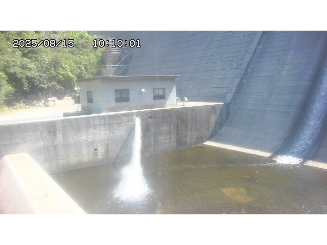東郷ダム１（下流）2025/08/15 14:00:00