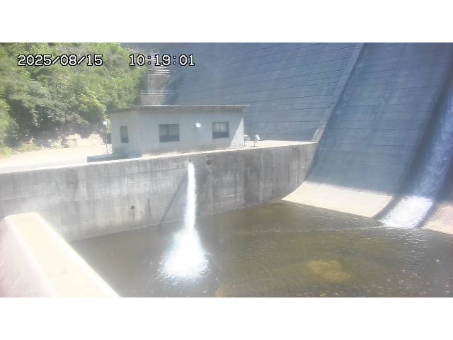 東郷ダム１（下流）2025/08/15 14:00:00