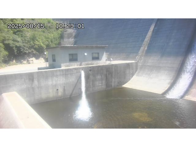 東郷ダム１（下流）2025/08/15 14:00:00