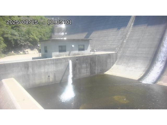 東郷ダム１（下流）2025/08/15 14:00:00