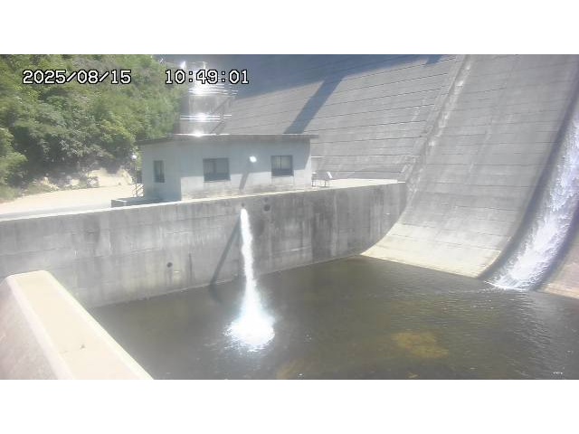東郷ダム１（下流）2025/08/15 14:00:00