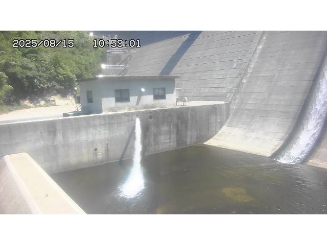 東郷ダム１（下流）2025/08/15 14:00:00