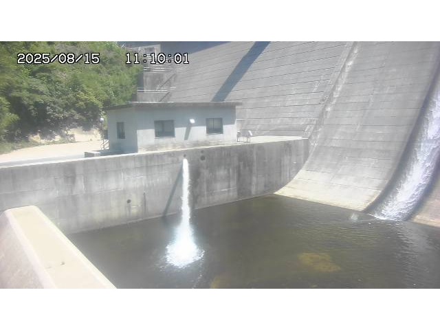 東郷ダム１（下流）2025/08/15 14:00:00