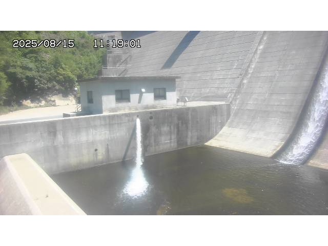 東郷ダム１（下流）2025/08/15 14:00:00