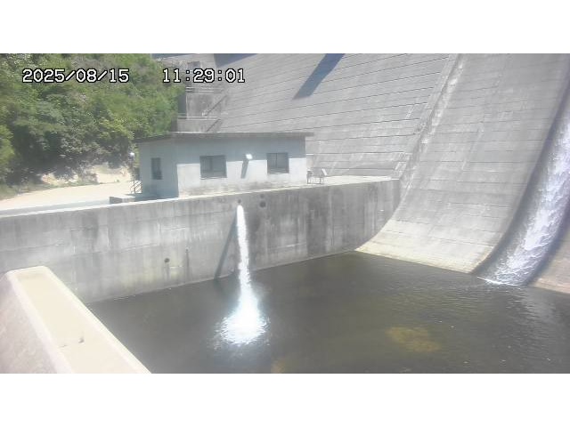 東郷ダム１（下流）2025/08/15 14:00:00