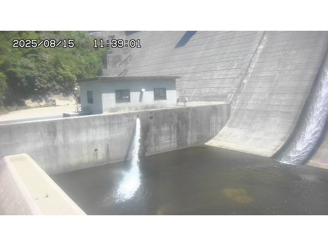 東郷ダム１（下流）2025/08/15 14:00:00